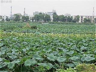 s-IMG_0376.jpg