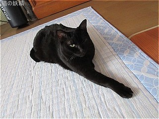 s-IMG_0429.jpg