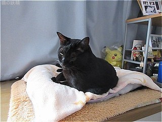 s-IMG_0435.jpg