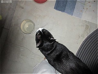 s-IMG_0452.jpg