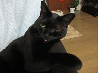 s-IMG_0464.jpg