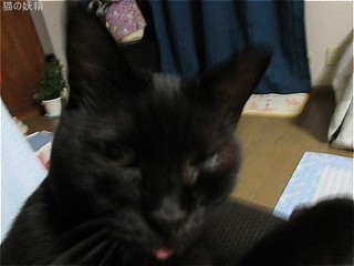 s-IMG_0471.jpg