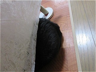 s-IMG_0475.jpg