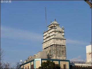 s-IMG_0479.jpg