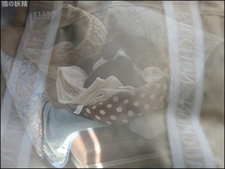 s-IMG_0501.jpg