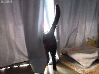 s-IMG_0527.jpg