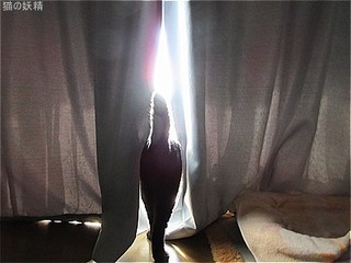 s-IMG_0528.jpg