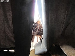 s-IMG_0530.jpg