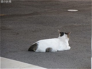 s-IMG_0531.jpg