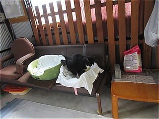 s-IMG_0549.jpg