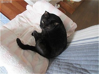 s-IMG_0550.jpg