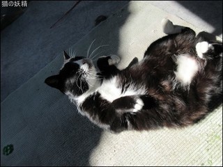 s-IMG_0572.jpg