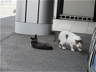 s-IMG_0580.jpg