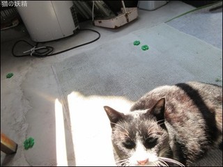 s-IMG_0584.jpg