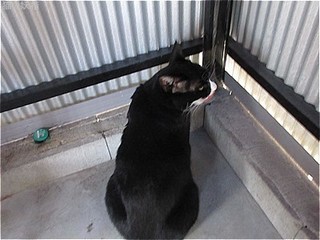 s-IMG_0594.jpg