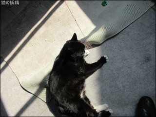 s-IMG_0603.jpg