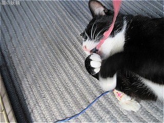 s-IMG_0623.jpg
