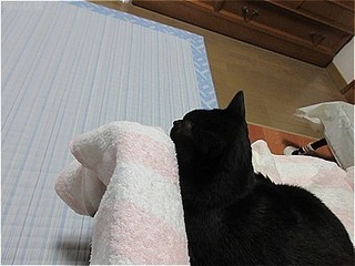 s-IMG_0635.jpg
