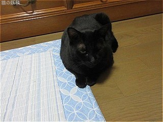 s-IMG_0637.jpg