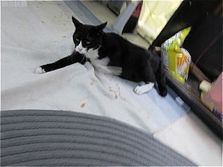 s-IMG_0665.jpg