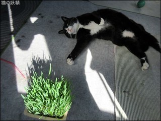 s-IMG_0718.jpg