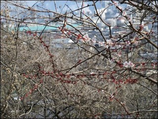 s-IMG_0813.jpg