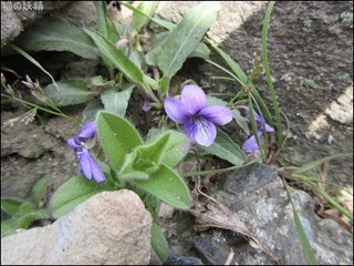 s-IMG_0819.jpg