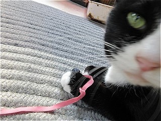 s-IMG_0834.jpg