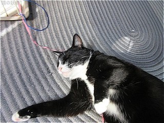 s-IMG_0861.jpg