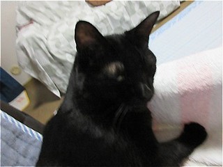 s-IMG_0885.jpg