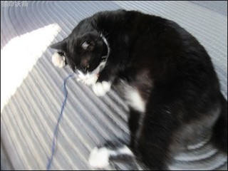 s-IMG_0930.jpg