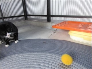 s-IMG_1086.jpg