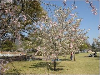 s-IMG_1138.jpg