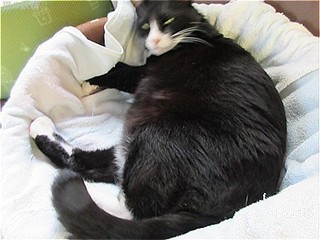 s-IMG_1194.jpg