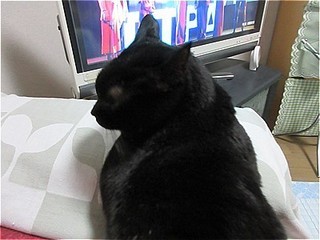 s-IMG_1268.jpg