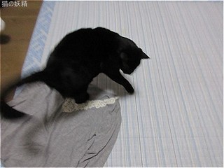 s-IMG_1283.jpg