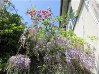 s-IMG_1419.jpg