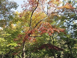 s-IMG_1574.jpg