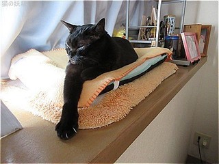 s-IMG_1586.jpg