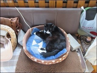 s-IMG_1668.jpg