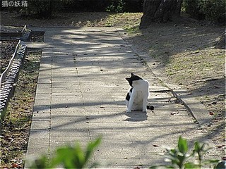 s-IMG_1793.jpg