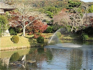 s-IMG_1794.jpg
