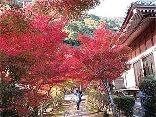 s-IMG_1802.jpg