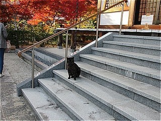 s-IMG_1818.jpg