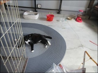 s-IMG_1838.jpg