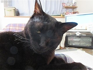 s-IMG_1869.jpg