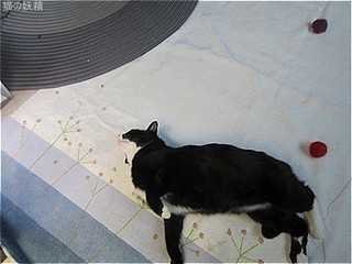 s-IMG_1870.jpg