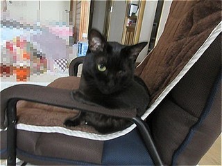 s-IMG_1875.jpg