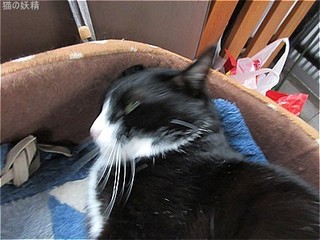 s-IMG_1901.jpg