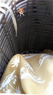 s-IMG_2019-08-08-12070272.jpg